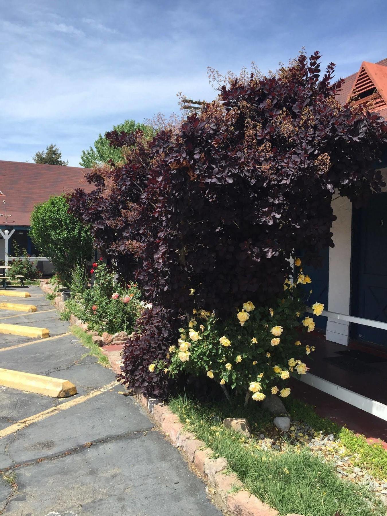 Townhouse Motel Bishop Buitenkant foto